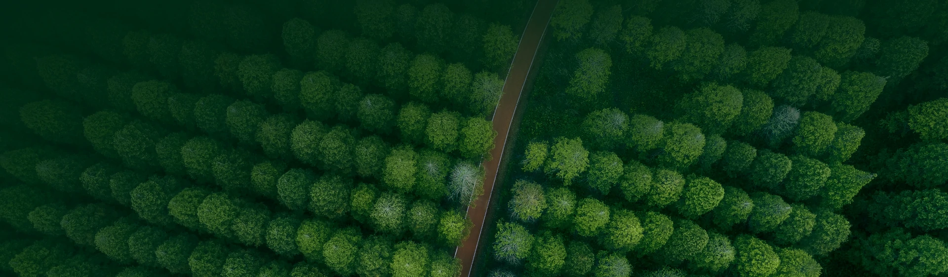 Visão Geral do Desenvolvimento Sustentável