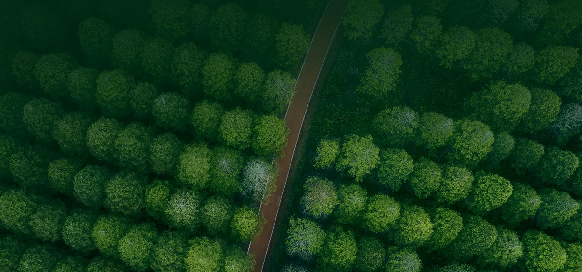 Visão Geral do Desenvolvimento Sustentável